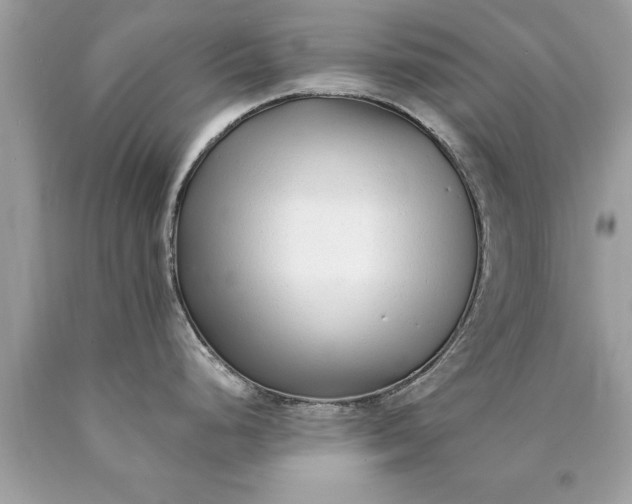 X0000090501248200707272355