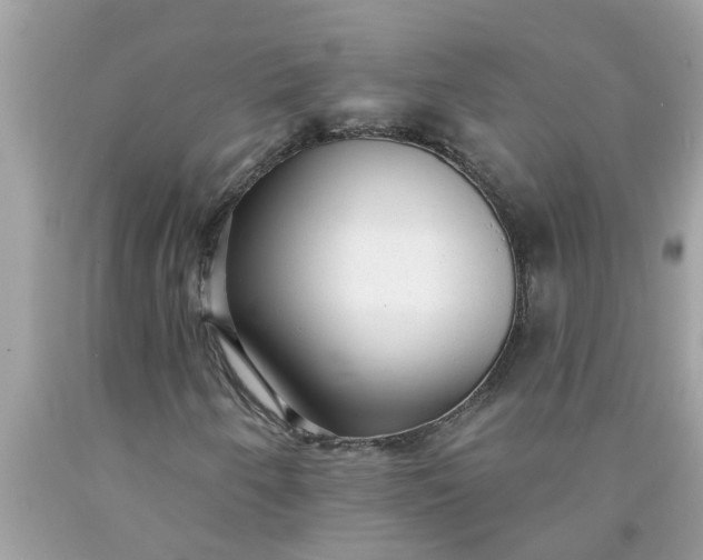 X0000090501250200707272354