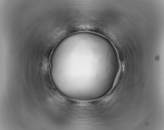 X0000090501251200707272354