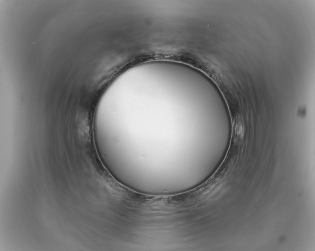 X0000090501252200707272354