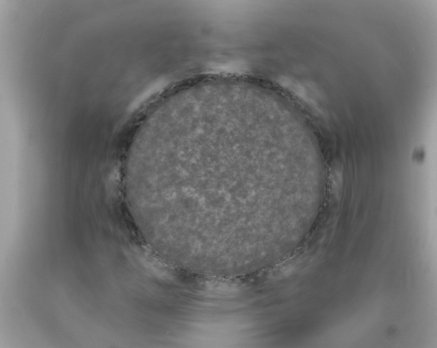 X0000090501254200707272354