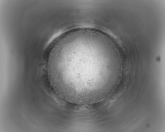 X0000090501255200707272354