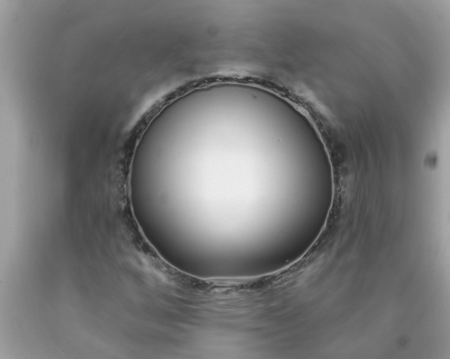 X0000090501256200707272354