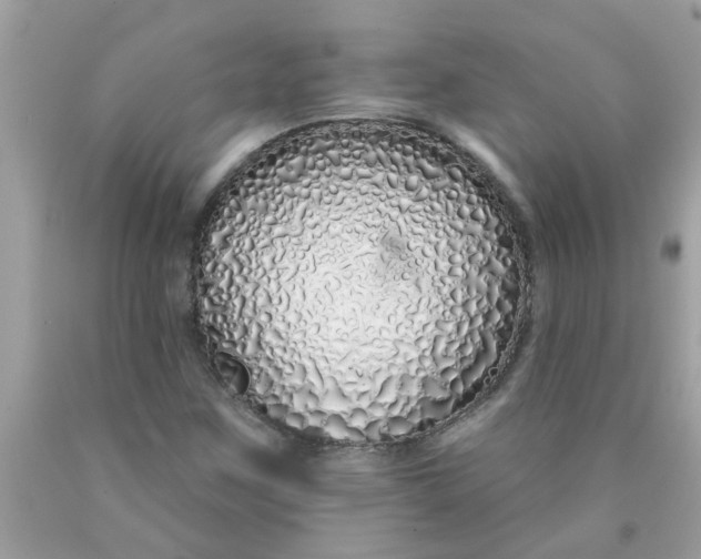 X0000090501259200707272354