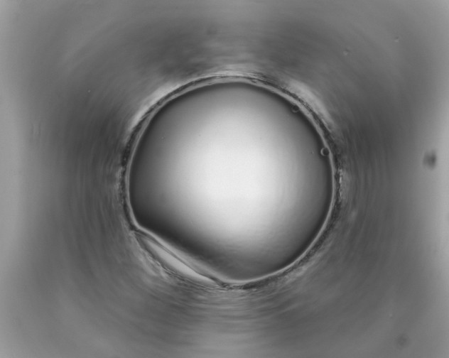 X0000090501260200707272354