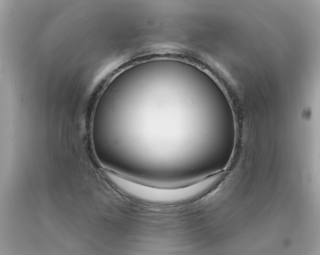 X0000090501261200707272354