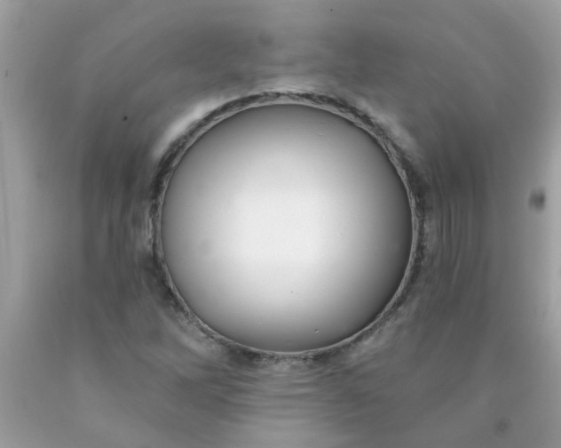 X0000090501262200707272354