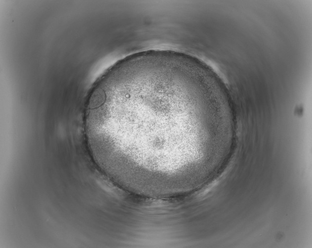 X0000090501263200707272354