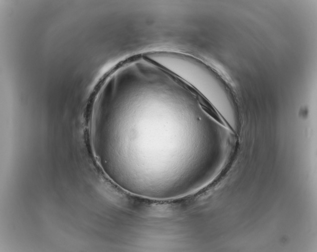 X0000090501264200707272354