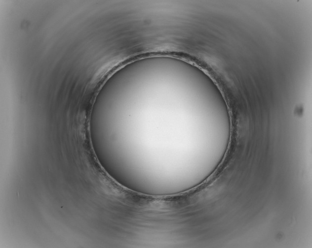 X0000090501265200707272354