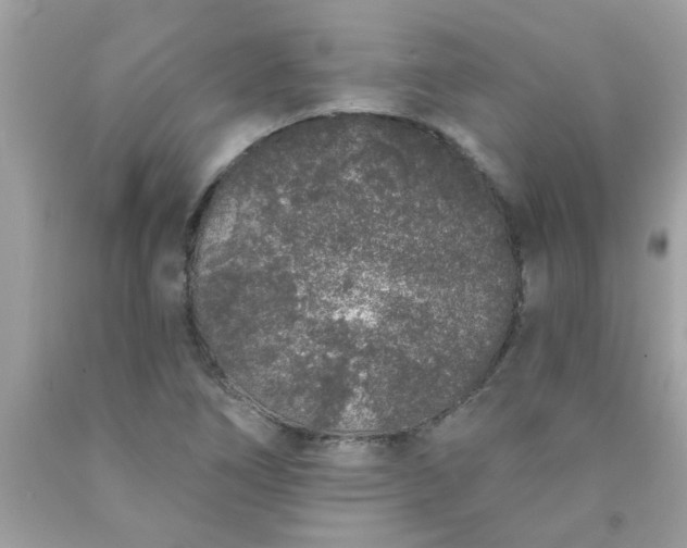 X0000090501266200707272354