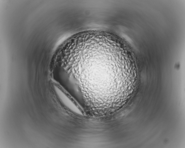 X0000090501267200707272354