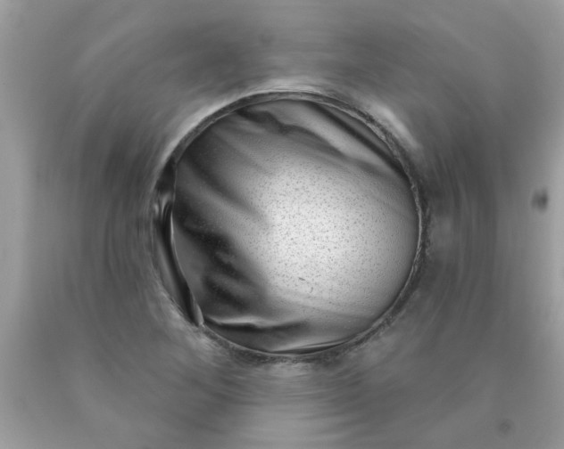 X0000090501268200707272354