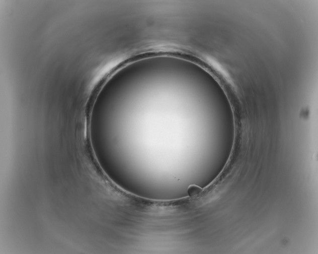 X0000090501269200707272354