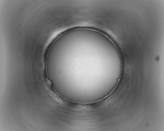 X0000090501270200707272354