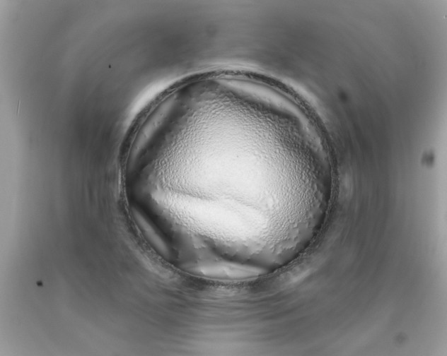 X0000090501271200707272354