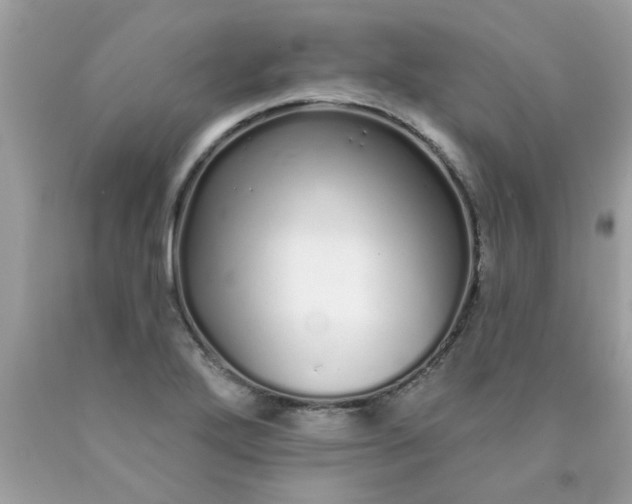 X0000090501272200707272354