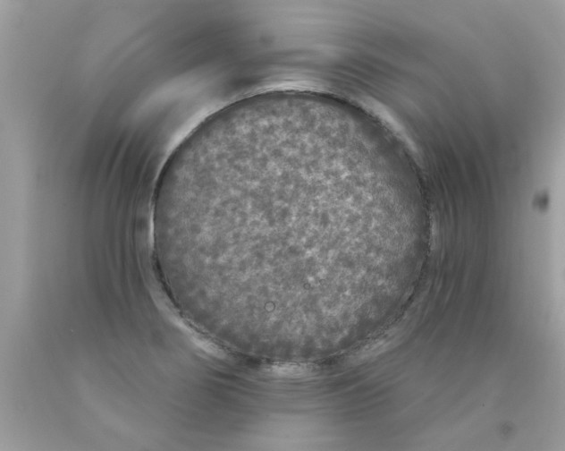 X0000090501274200707272354