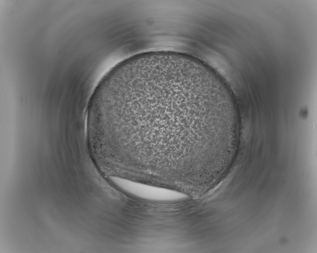 X0000090501275200707272354