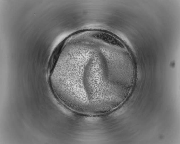 X0000090501277200707272354