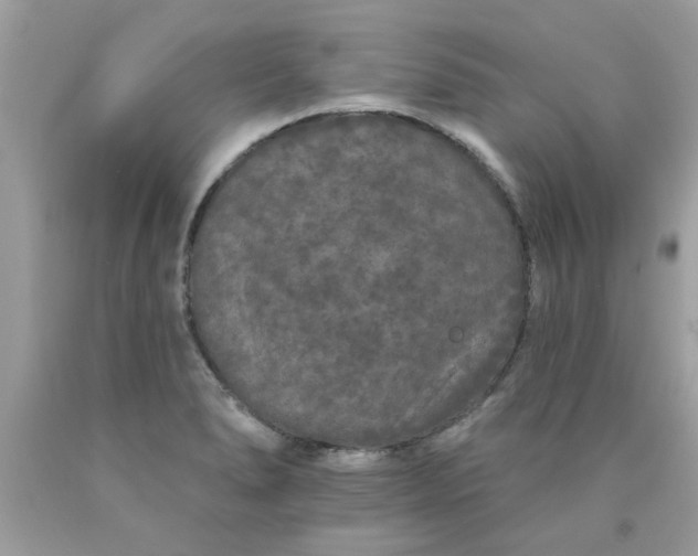 X0000090501278200707272354