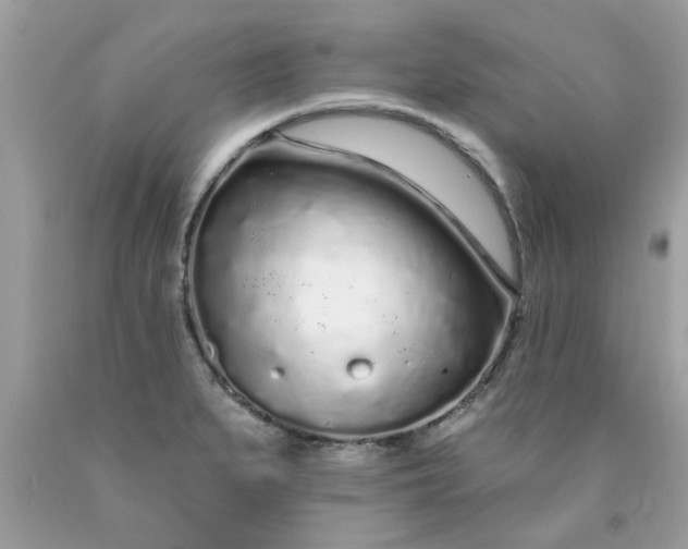 X0000090501279200707272354