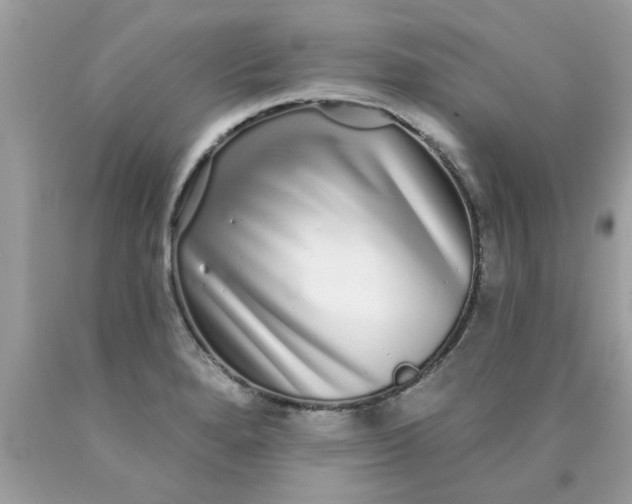 X0000090501280200707272354