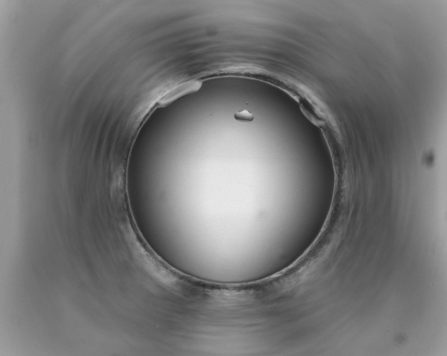 X0000090501281200707272354