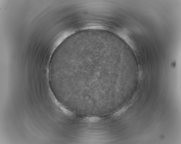 X0000090501282200707272354