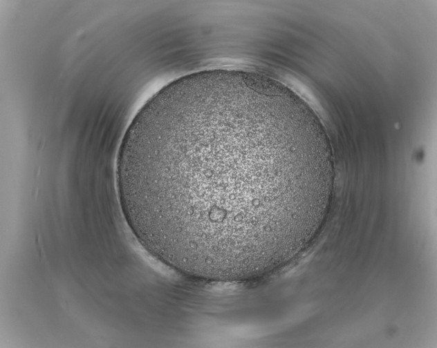 X0000090501283200707272354