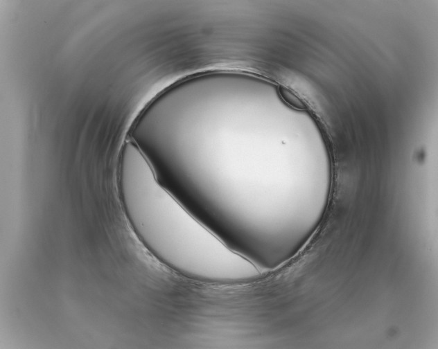 X0000090501284200707272354