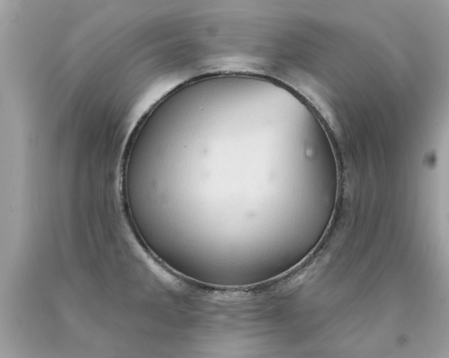 X0000090501285200707272354