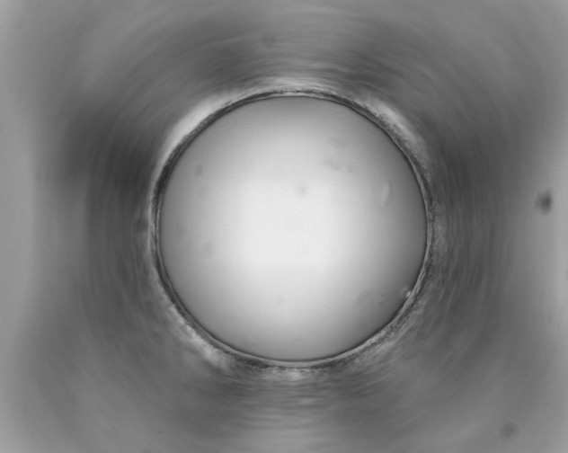 X0000090501286200707272354