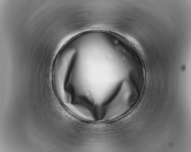 X0000090501288200707272354