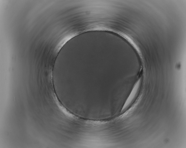 X0000090501289200707272354