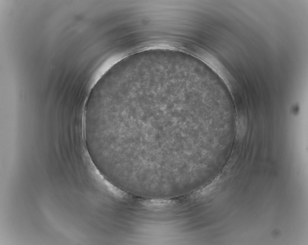 X0000090501290200707272354