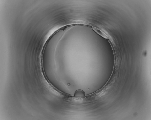 X0000090501291200707272354