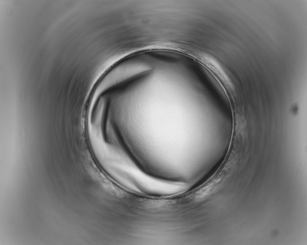 X0000090501292200707272354