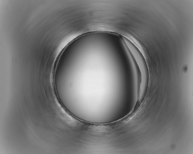 X0000090501293200707272354