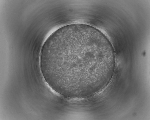 X0000090501294200707272354