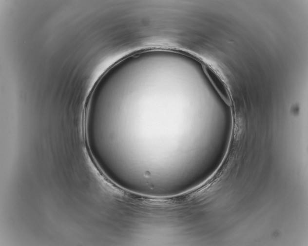 X0000090501295200707272353