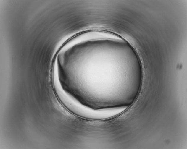 X0000090501296200707272353