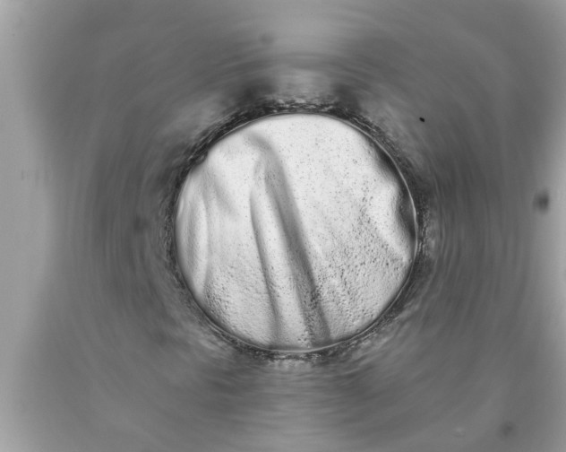 X0000090501297200707272353