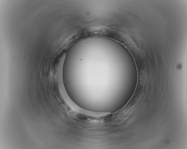 X0000090501298200707272353