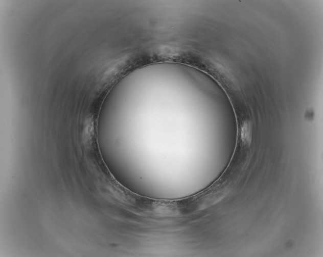 X0000090501299200707272353