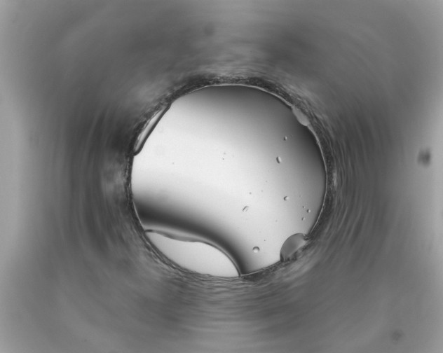 X0000090501300200707272353