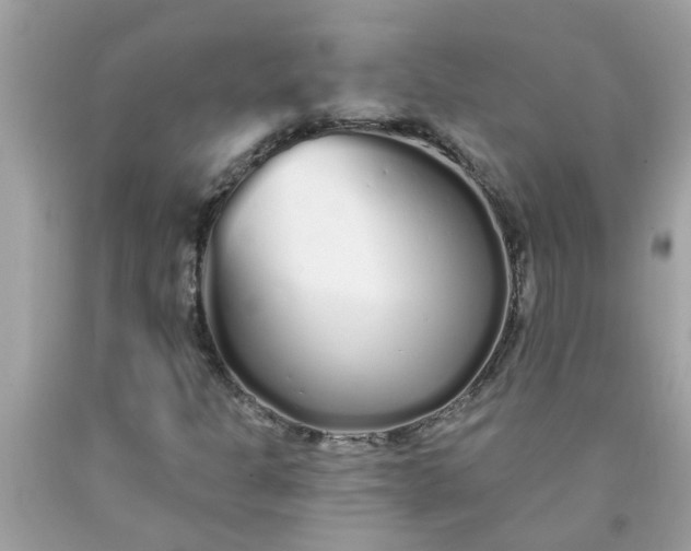 X0000090501301200707272353