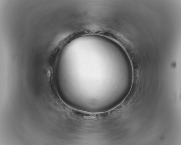 X0000090501302200707272353