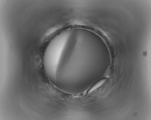 X0000090501303200707272353