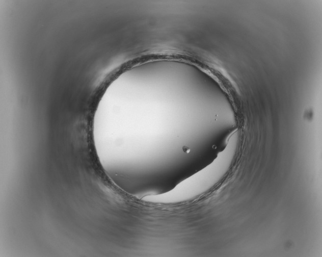 X0000090501304200707272353